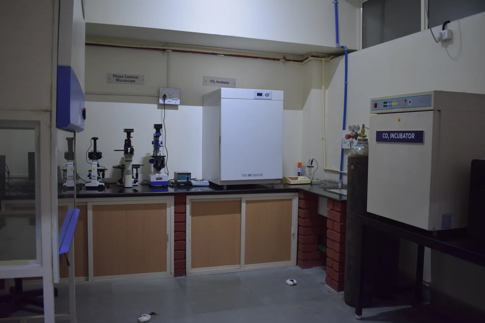 Animal Cell Culture Lab (R & D Lab - 2)